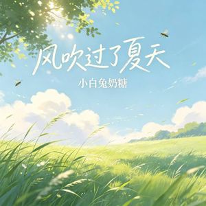 风吹过了夏天