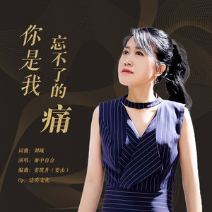 你是我忘不了的痛
