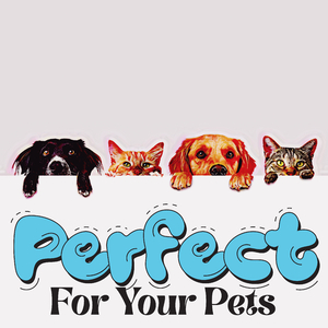 Pet Salon