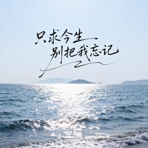 只求今生别把我忘记（深情男声版）