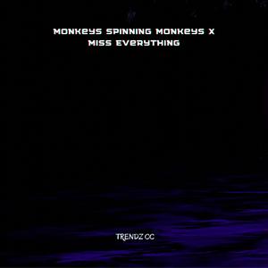Monkeys Spinning Monkeys X Miss Everything