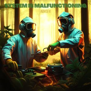 System is Malfunctioning