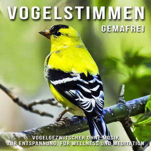 Vogelstimmen (Vogelgezwitscher ohne Musik zur Entspannung, für Wellness und Meditation)