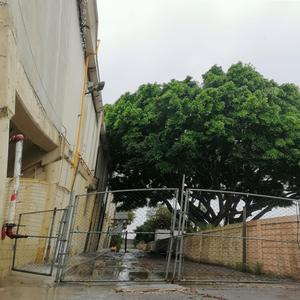 II. Ciudadano Universal (22 Agosto 2023 "IX Reunion")