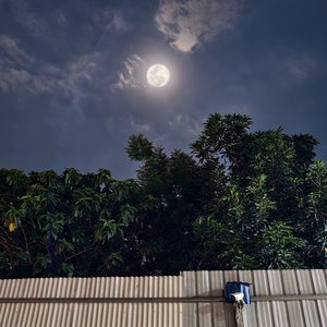 修改音质-转换成功jxj猎豹 - Untitled 2026-04-10 20_09.mp3