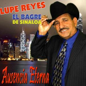 Los Caballos De Mariachi