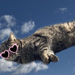 Heart shaped sunglasses
