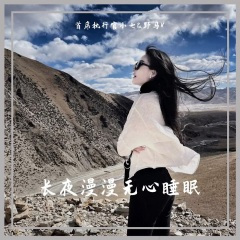 总是学不会 (钢琴版)