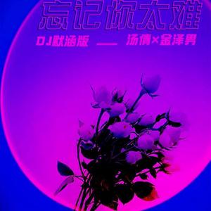 忘记你太难 (DJ默涵版)