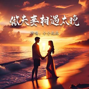 做夫妻相遇太晚