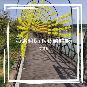 百鸟朝凤(现场唢呐版)