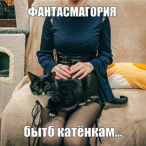 Бытб катёнкам...