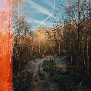 The Name (Lead The Way)