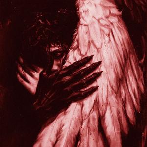 вырвал твои крылья