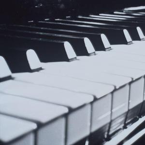 所以我放弃了音乐（翻自 ヨルシカ）