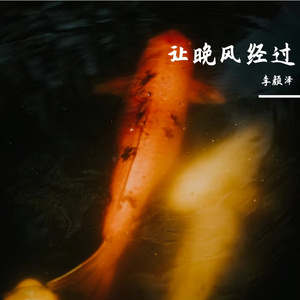 让晚风经过