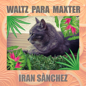 Waltz para Maxter