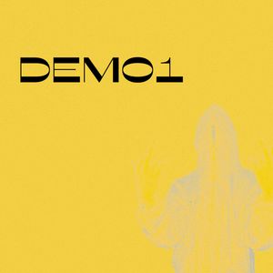 demo1