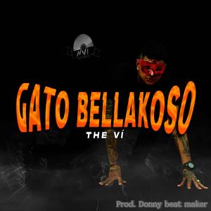 Gato Bellakoso