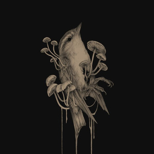 Громче улиц