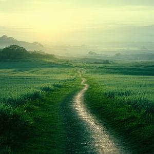 Autumn After the Rain