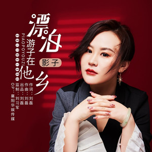 漂泊游子在他乡 (DJ伟然版伴奏)