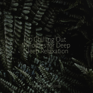 Enfolding Calmness
