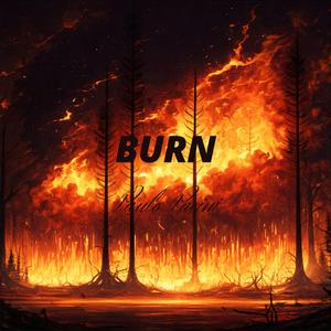 BURN