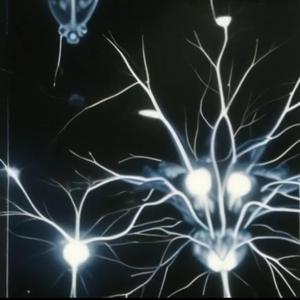 Telekinesis (feat. its.just.stan)