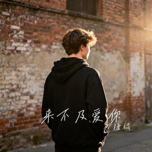 来不及爱你
