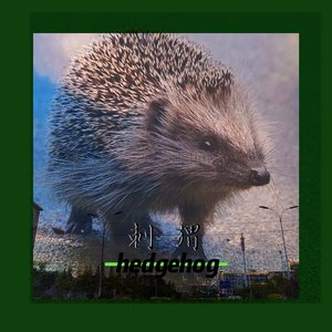 刺猬