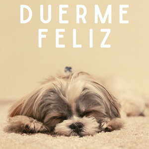 AYUDAS DEL SUEÑO