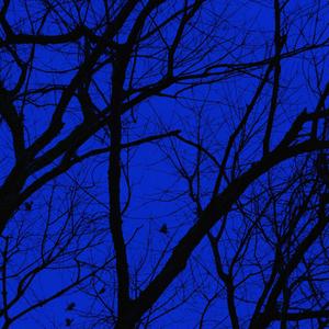 Mortal(Instrumental)