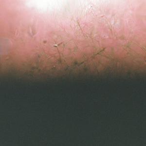 Morning Fog (Circle 55)