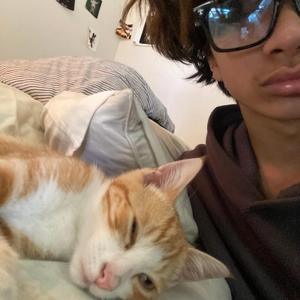 unharmed (feat. burnrubber)