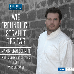 Martha: Act III: Ach so fromm (M'appari tutt'amor)