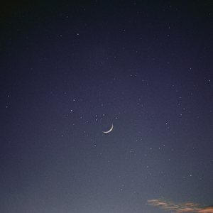 Willows (Sound Bath)