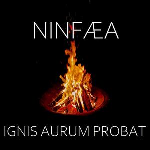 Ignis Aurum Probat I