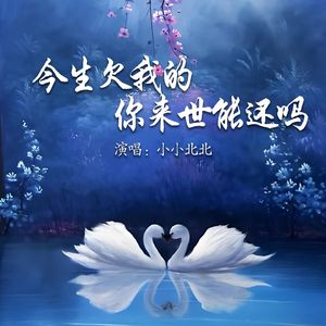 今生欠我的你来世能还吗