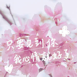 只要见到你我心情就好了