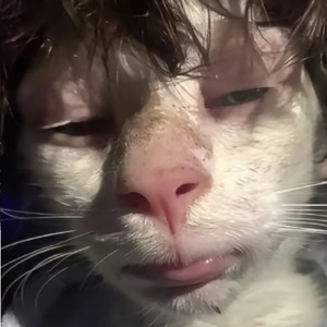 找个喜欢但不爱的