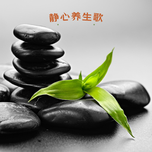 自然之音 (练字)