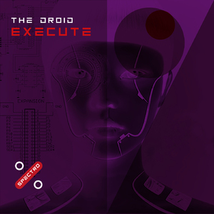 Execute (Lloyd Stellar Remix)