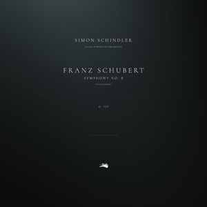 Symphony No. 8 in B Minor "Unfinished", D. 759: 2. Andante con moto