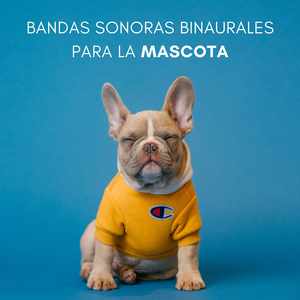 Travesuras De Animales