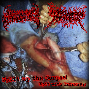 Hemorrhagical Affection of the Uterine Tract (Lymphatic Phlegm)