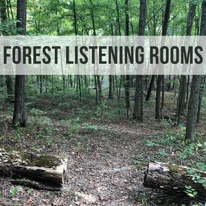 Forest Listening Rooms