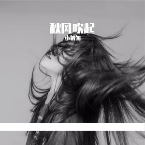 秋风吹起（完整女版）