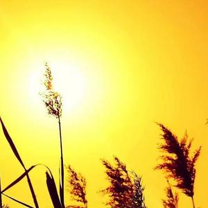 天涯有人在等待