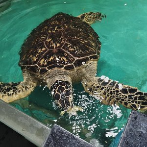 你喜欢的人教你长大，喜欢你的人让你变回小孩